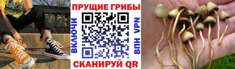 Галлюциногенные грибы мицелий  OMG маркетплейс  мориарти какой сайт  купить наркотик  Любань 
